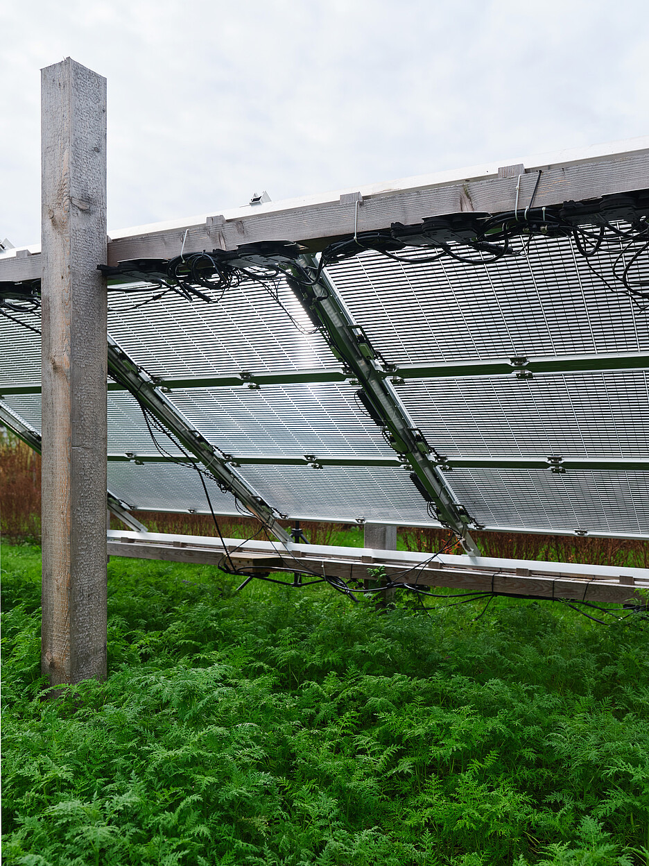 Es gibt spezielle Solarpanels, die von 15 bis 70 Prozent Lichtdurchlässigkeit regulierbar sind, je nach Bedürfnis der Pflanzen.