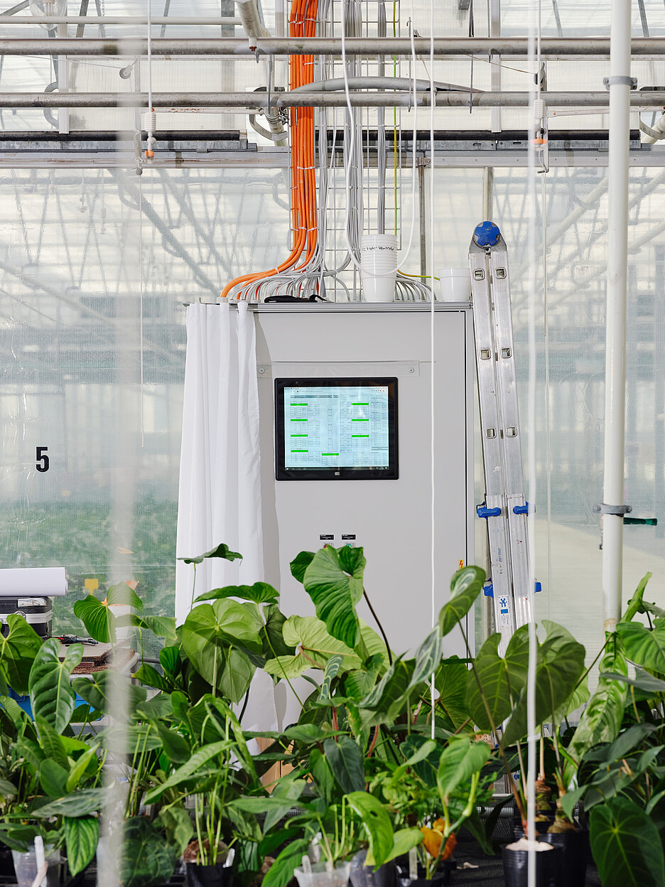 Mit einem thermochemischen Netz wird die Wärme gezielt zu den Pflanzen geleitet. Das EU-Projekt gewann den «Watt d’Or» des Bundesamts für Energie.