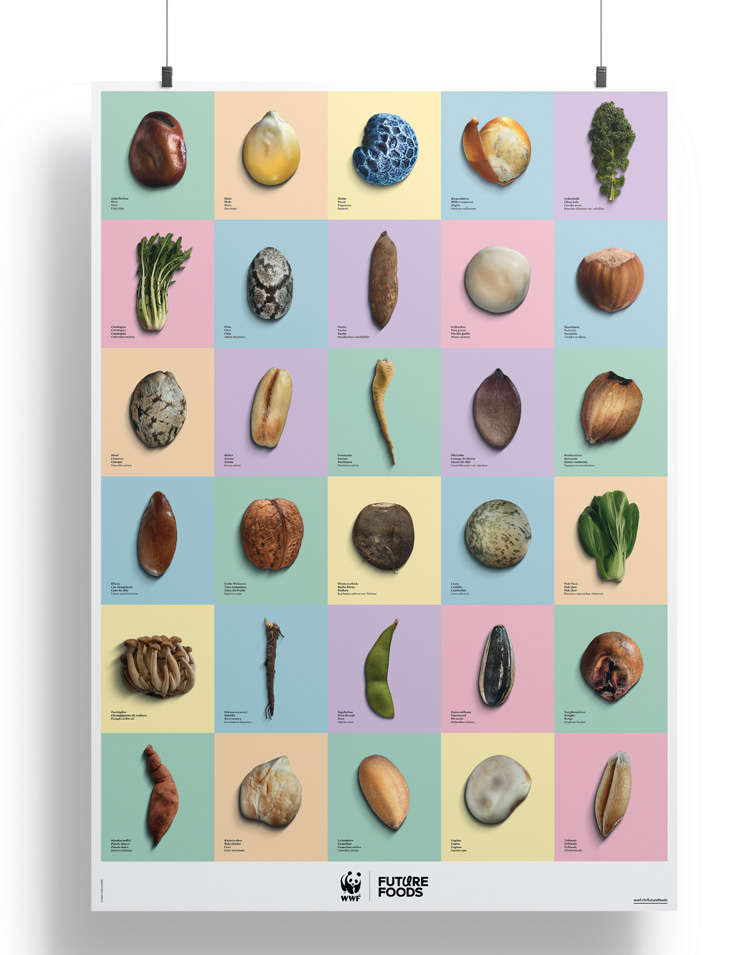 30 Lebensmittel wurden als Future Foods definiert. Ausschlaggebend waren dabei, ob sie für hiesige Witterungsbedingungen geeignet sind, wie sich der Anbau auf die Biodiversität und die Böden auswirkt, welche Nährstoffe sie enthalten und wie ihr Marktpotenzial aussieht.